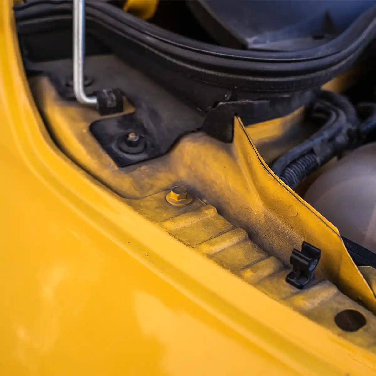 APC and Cleaner for Professional Interior Care