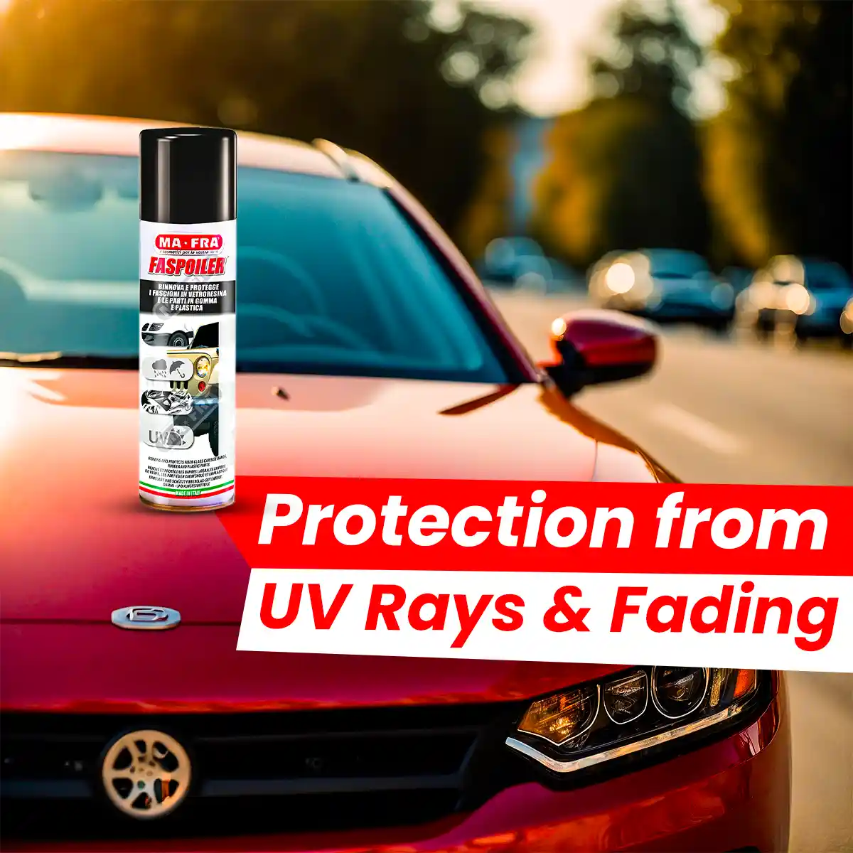 Faspoiler 300 Gm and Detailing Spray for Professional Exterior Care